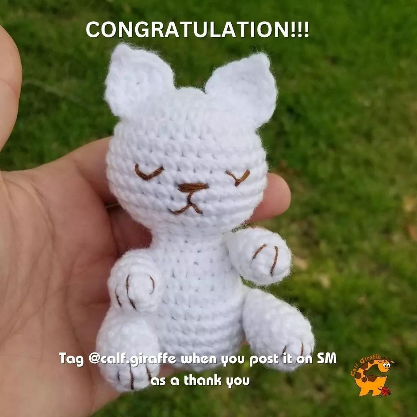 kitten free pattern