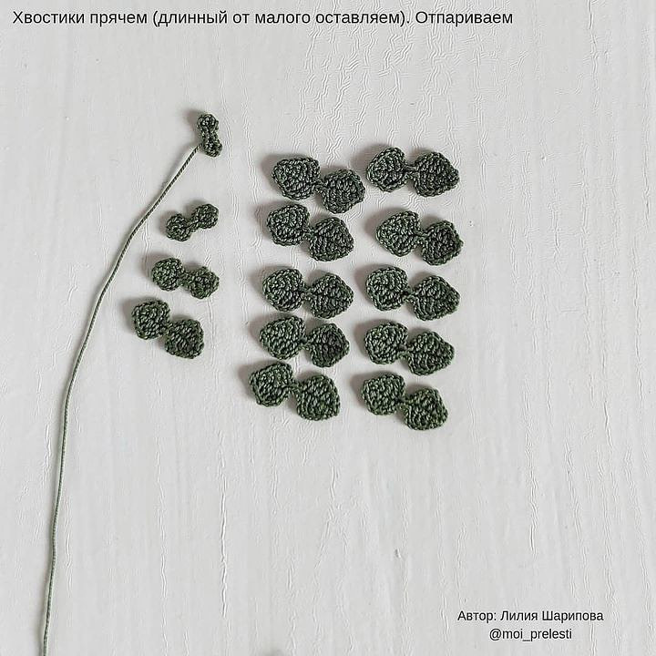 Веточка эвкалипта крючком от автора @moi_prelesti ❤️Она прекрасно подойдет для декорирования интерьера, для украшения вещей и т.д.Описание в карусельке➡️ Приятного вязания!При публикации работ, отмечайте автора 🌷