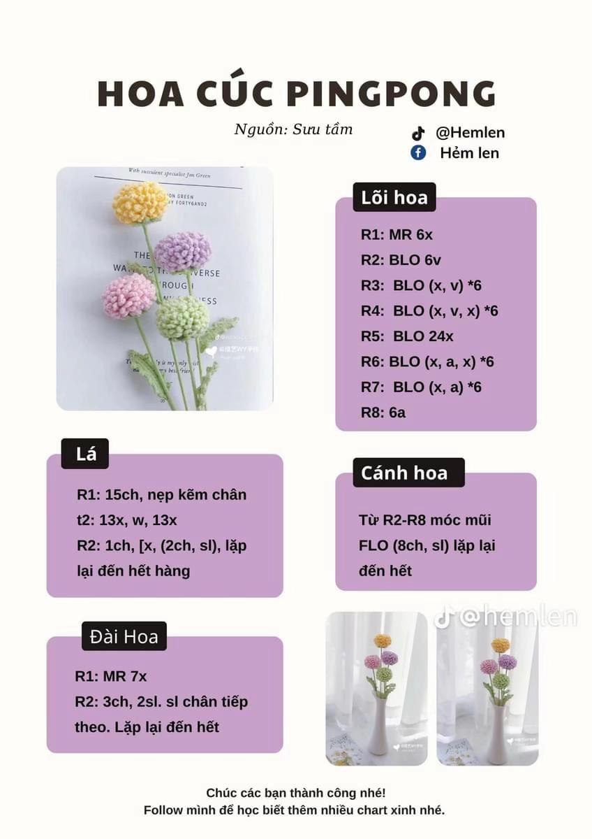 chart móc hoa cúc pingpong