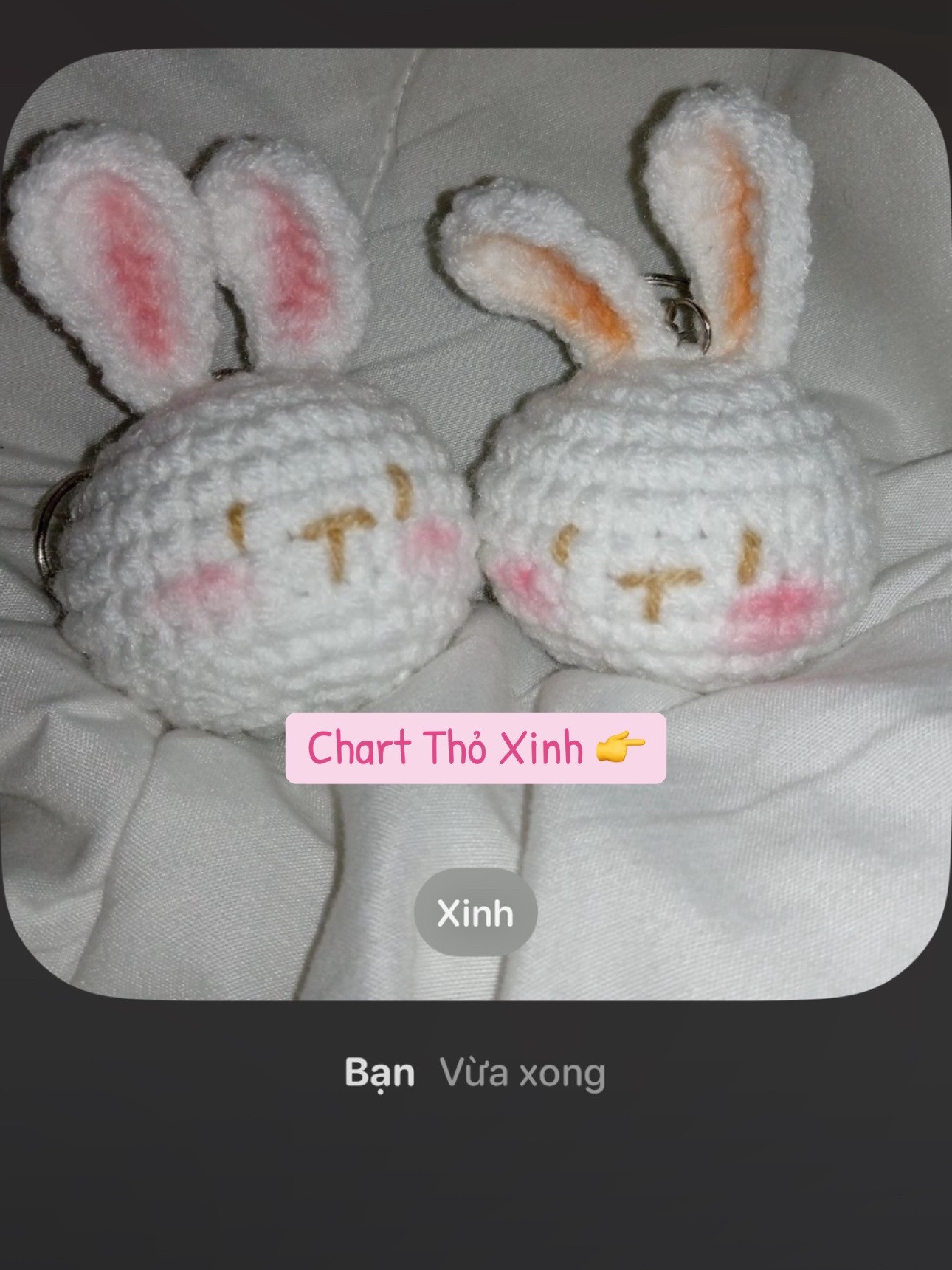 Chart Thỏ Siêu Xinh