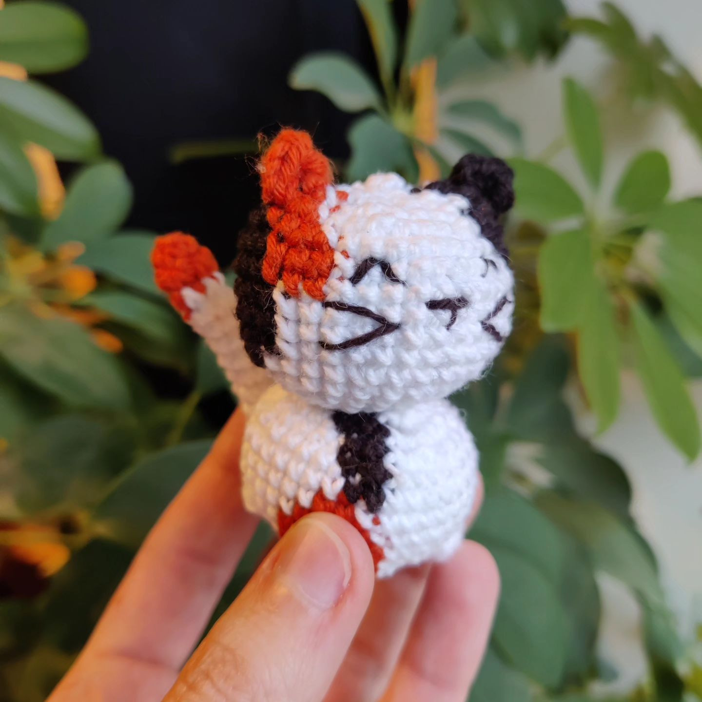 free pattern pop cat