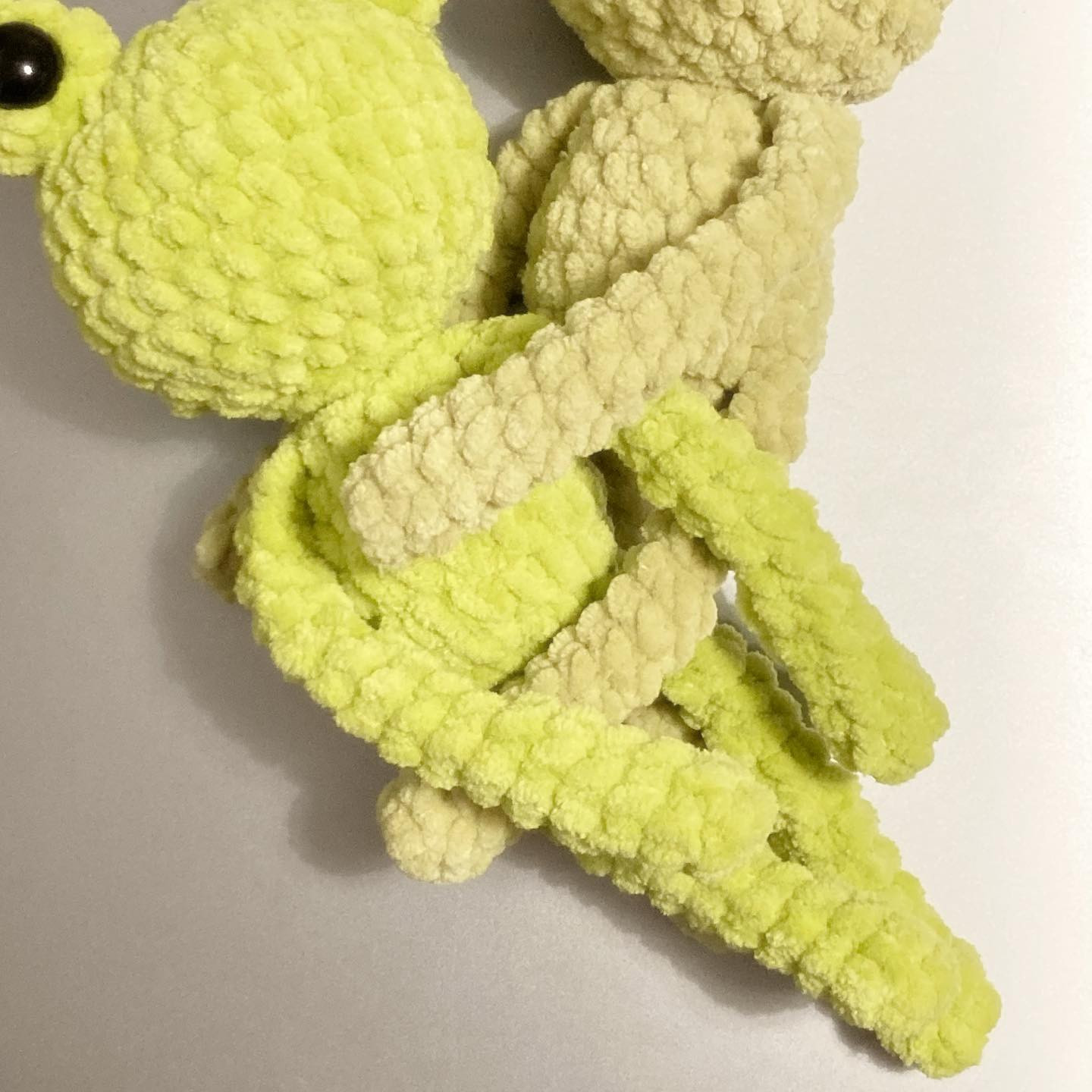 leggy frog pattern