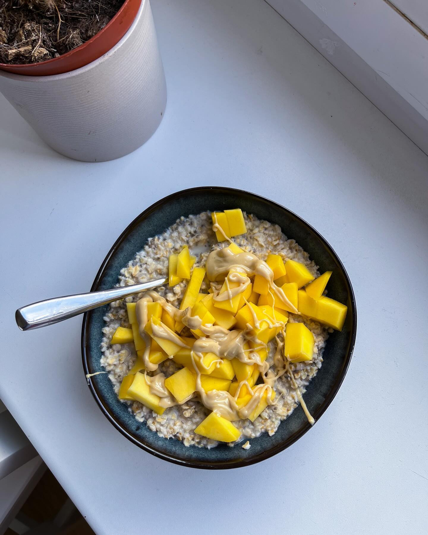 MANGO OAT BOWL