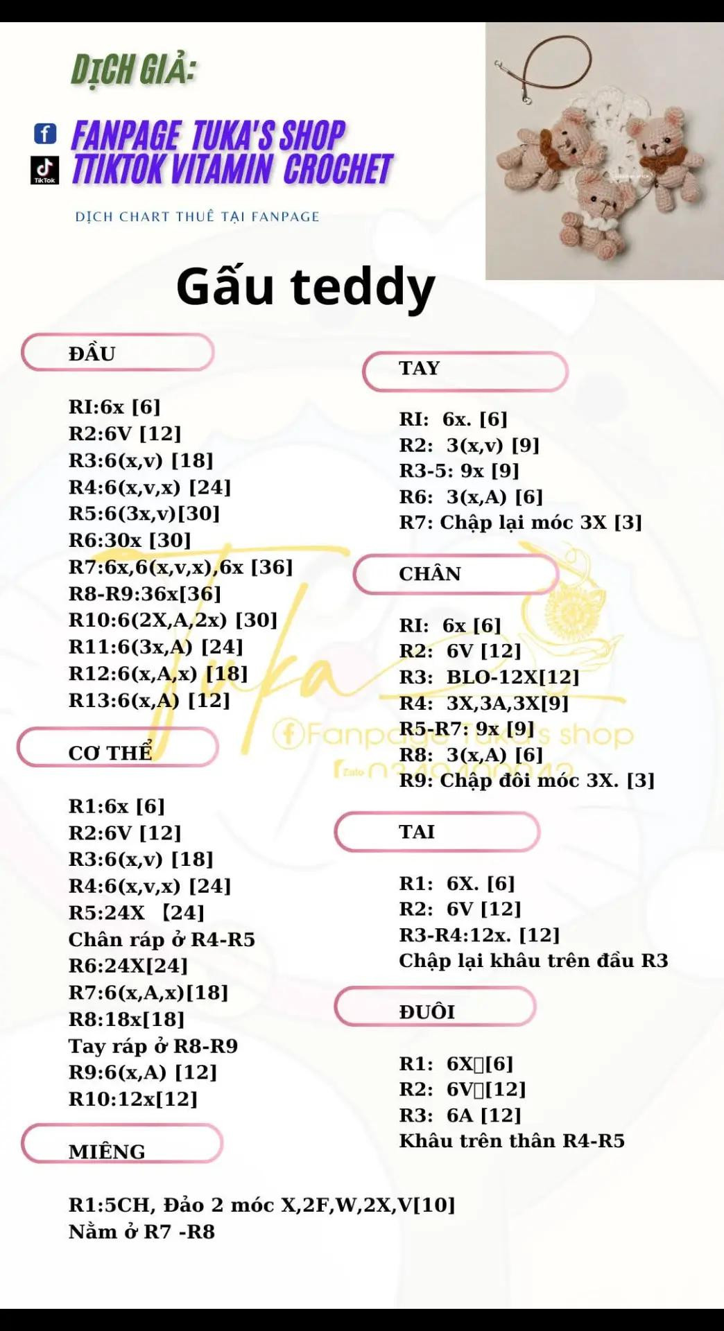 chart dịch móc len gấu teddy