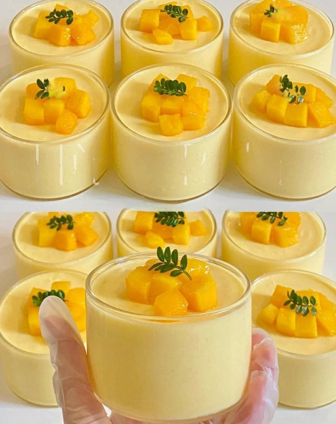 Hướng Dẫn Chi Tiết Làm Panna Cotta Xoài Siêu Ngon