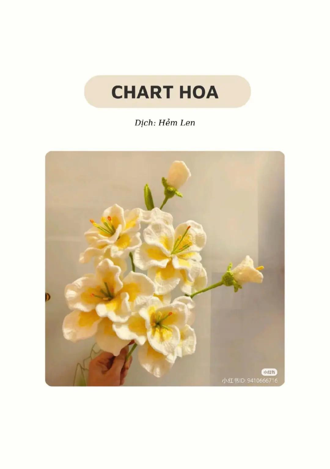 chart móc hoa cẩm chướng, hoa hồng, hoa cẩm tú cầu, hoa lavender