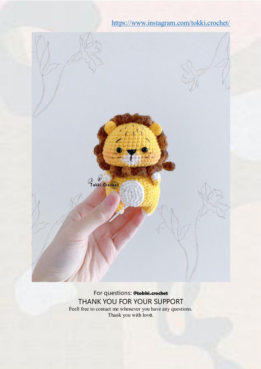 Little Lion ( Zoo Friends )