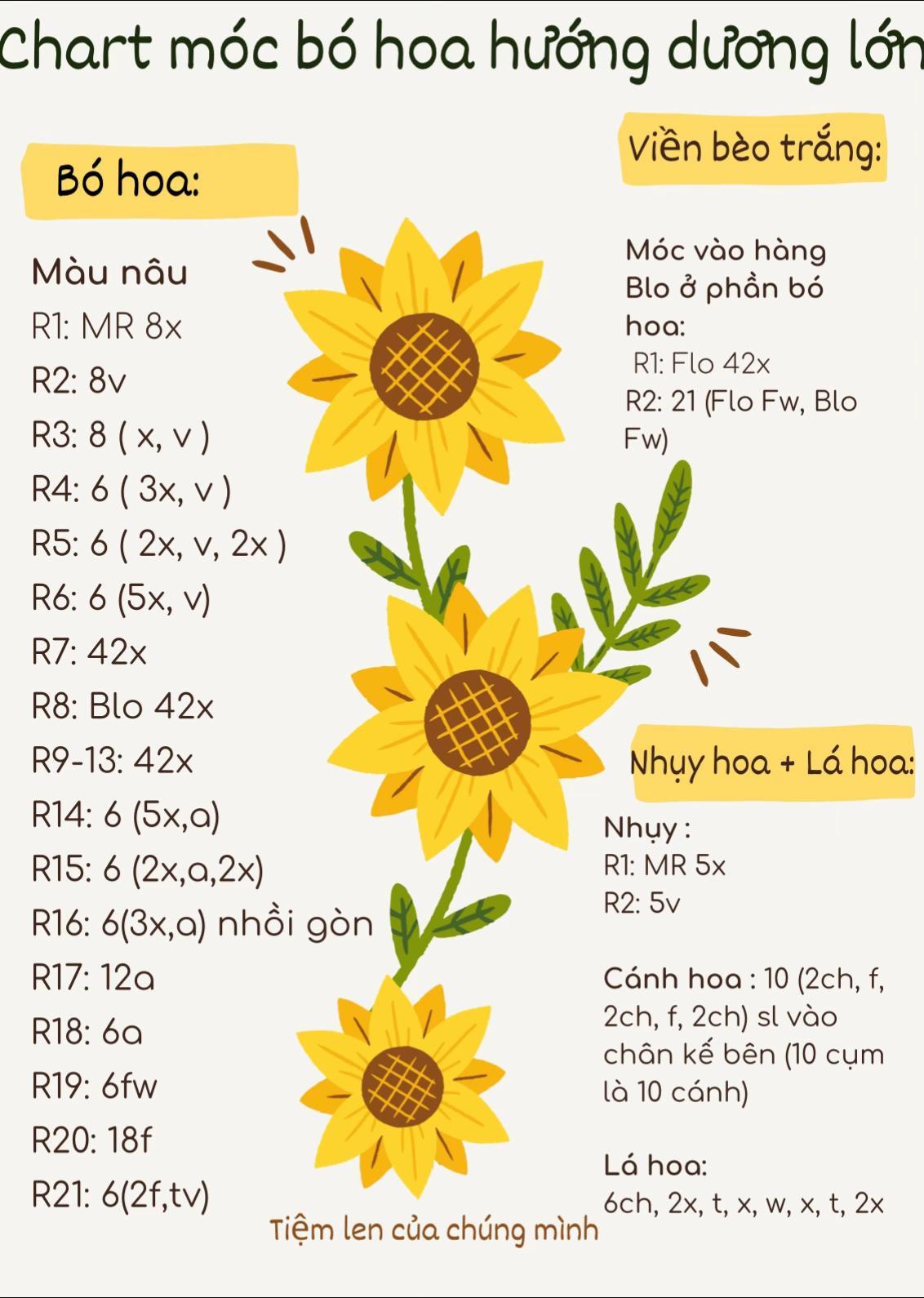 chart móc bó hoa hướng dương lớn