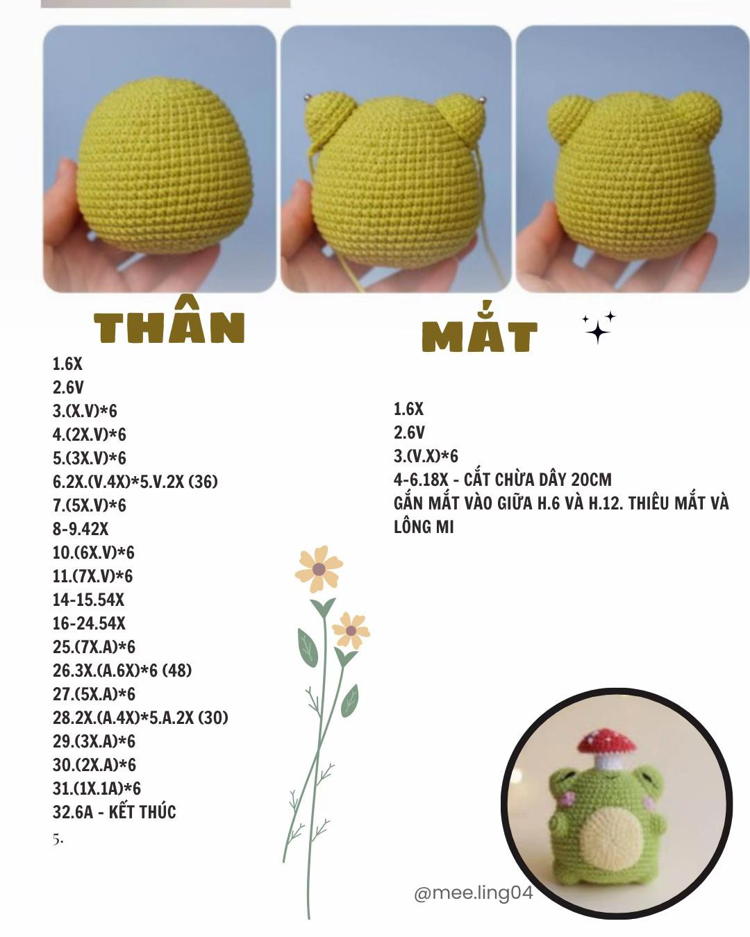 chart móc nấm hoa