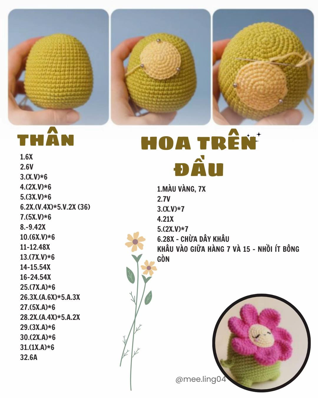 chart móc nấm hoa