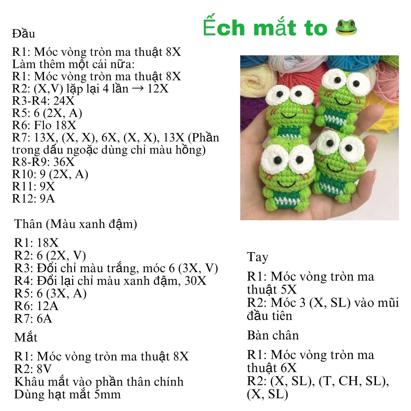 Ếch mắt to Chart ếch mini cho các pà nèk