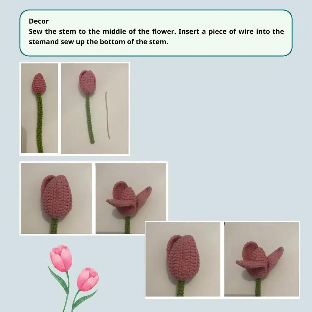 free pattern tulip crochet pattern