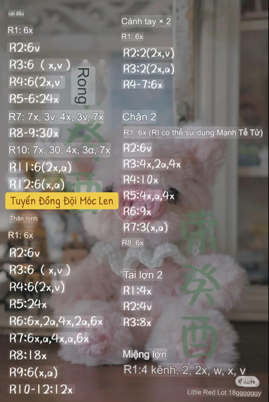chart heo lông thỏ