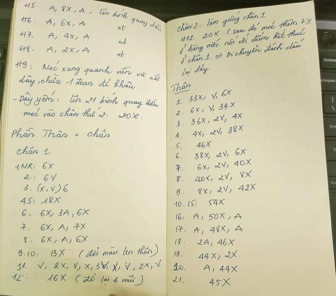 chart thỏ bunny toto