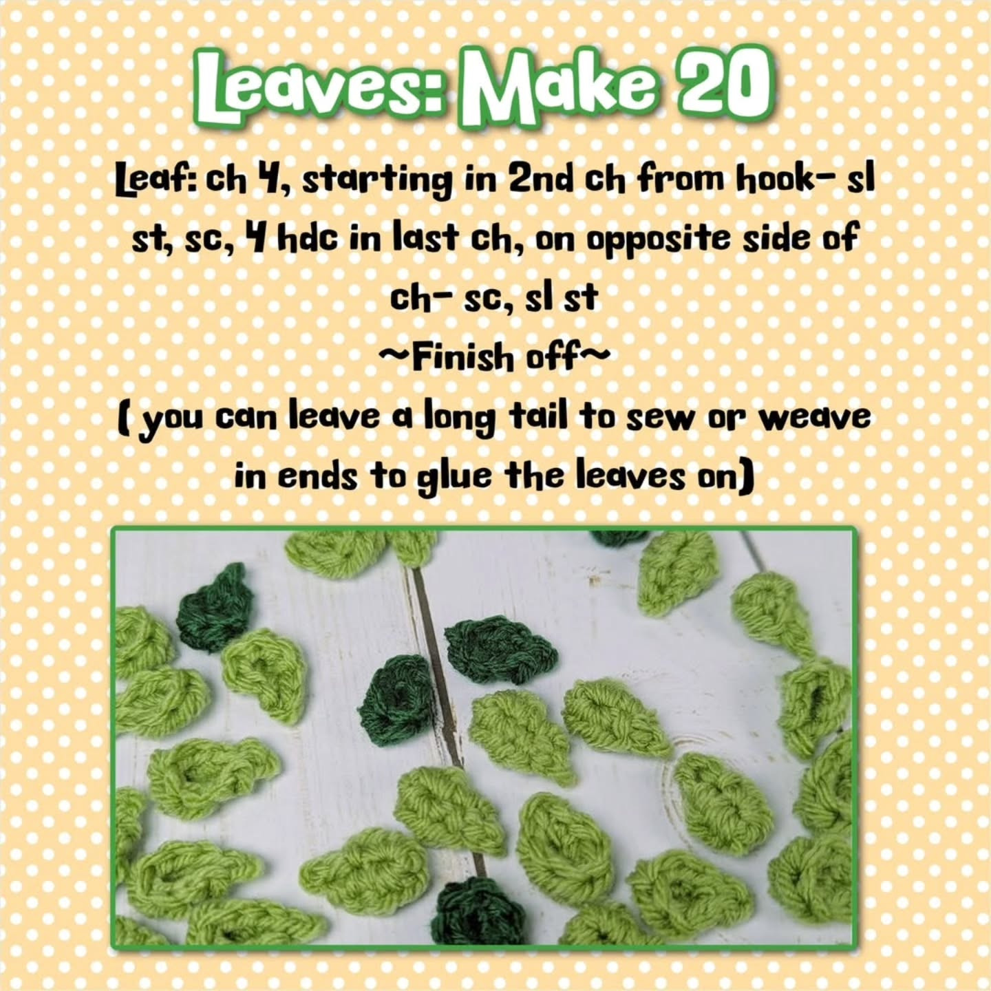 🌱FREE Succulent Pattern