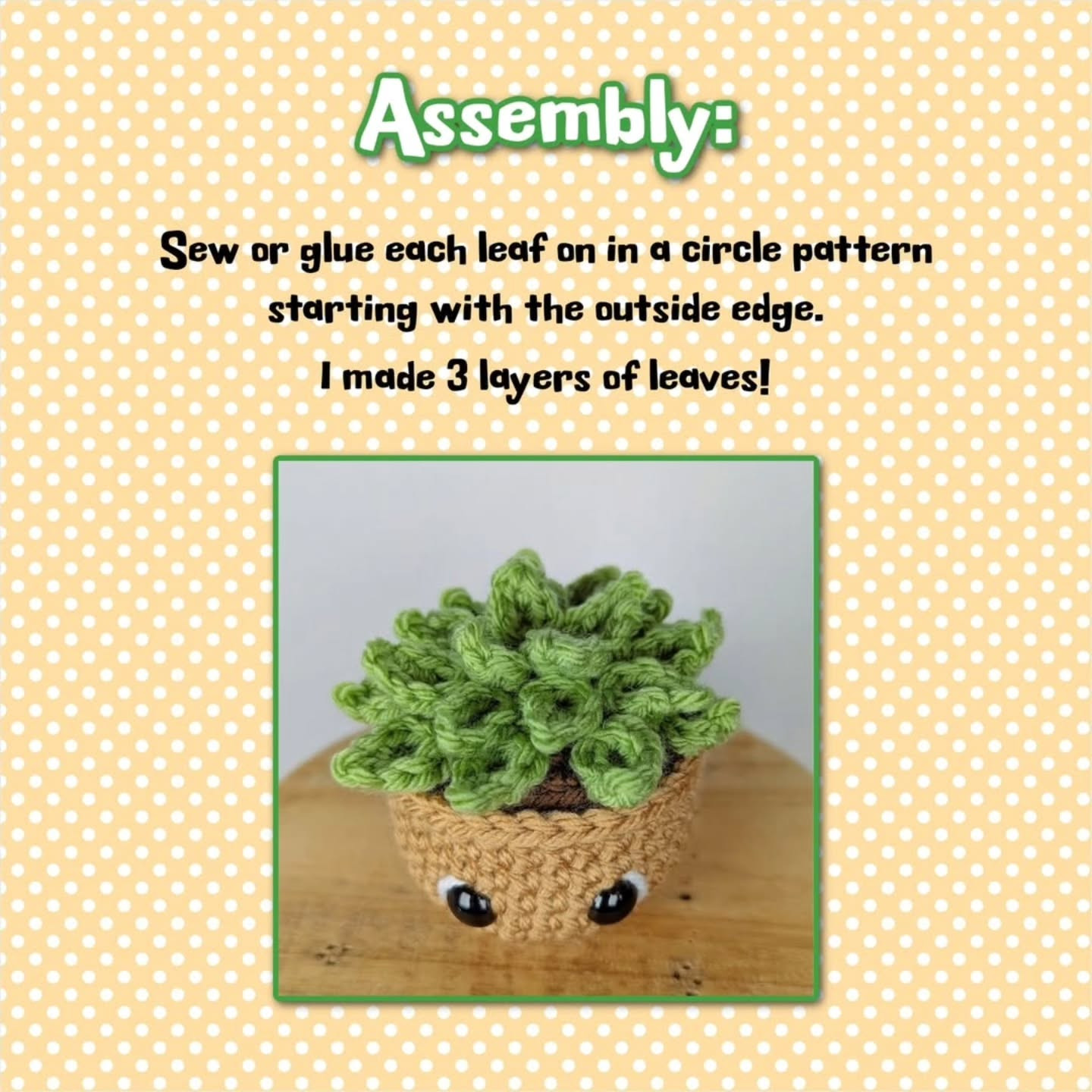 🌱FREE Succulent Pattern