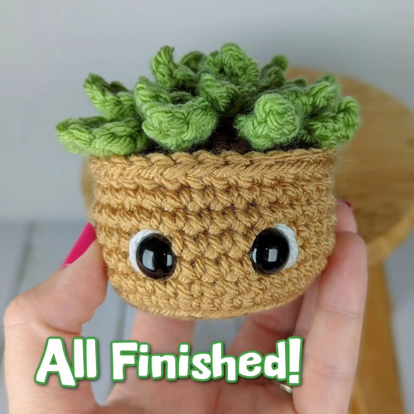🌱FREE Succulent Pattern
