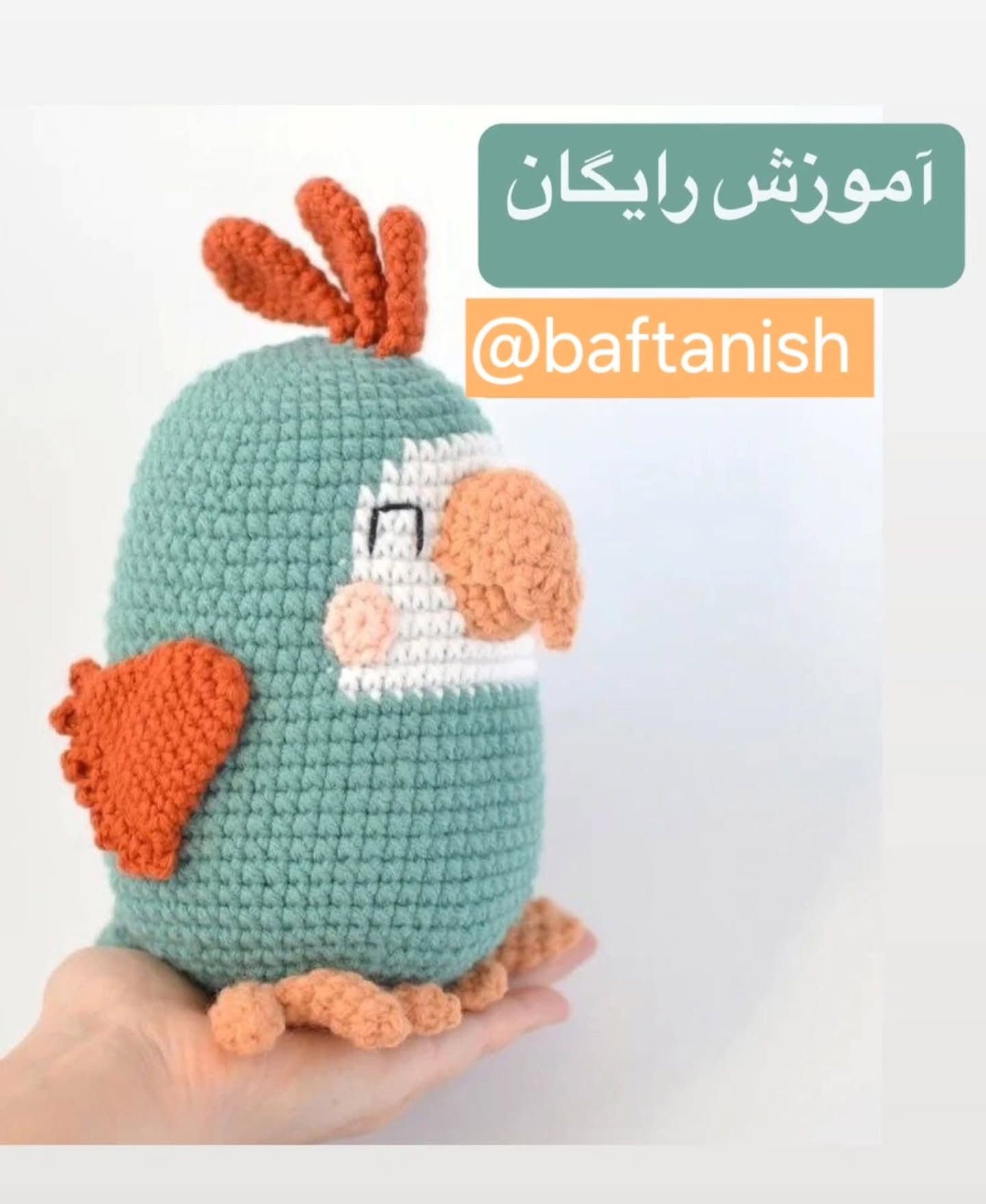 آموزش بافت عروسک طوطی