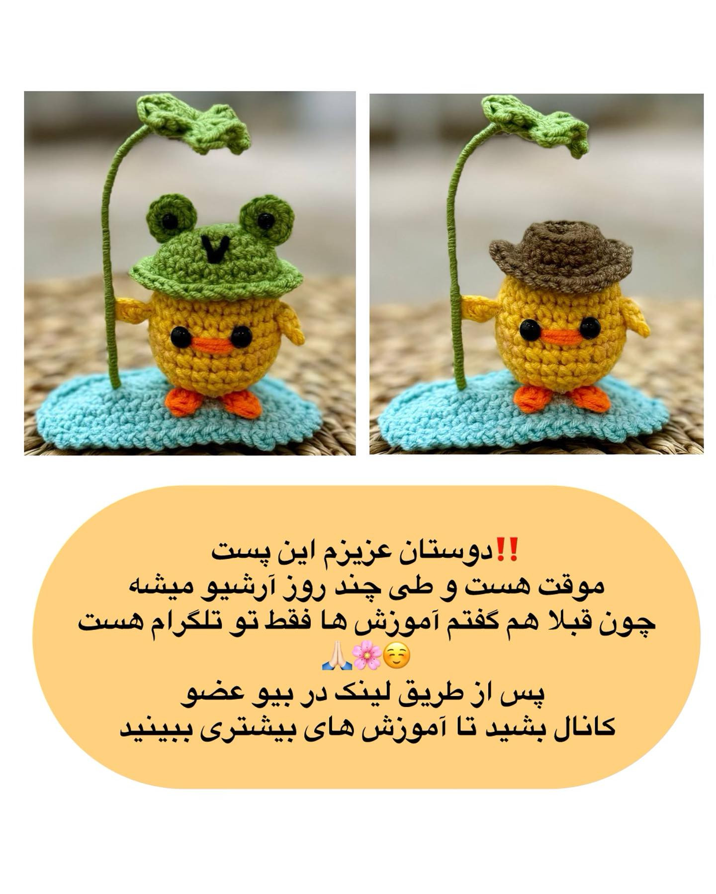 آموزش گره سر جوجه