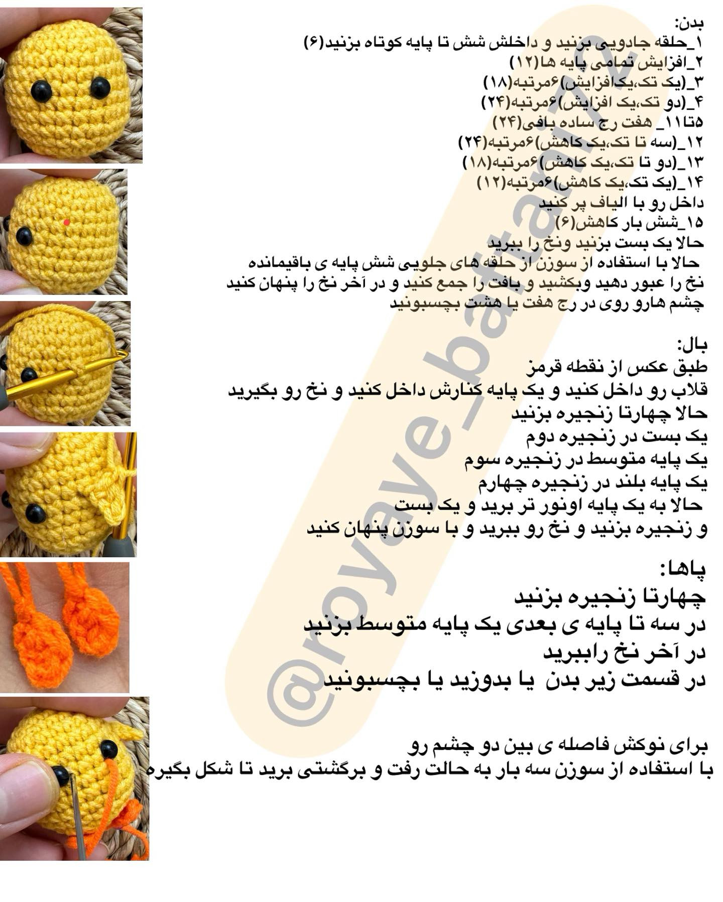 آموزش گره سر جوجه