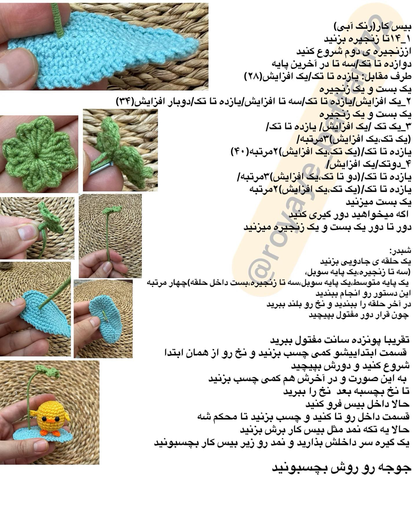 آموزش گره سر جوجه