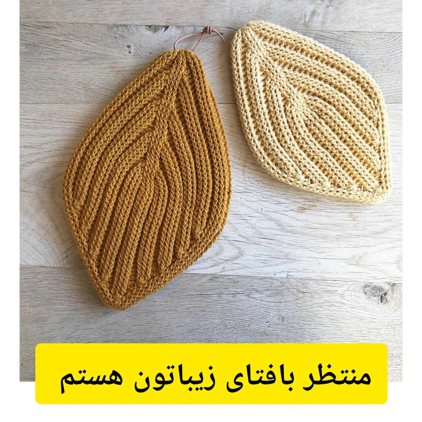 آموزش رایگان بافت برگ