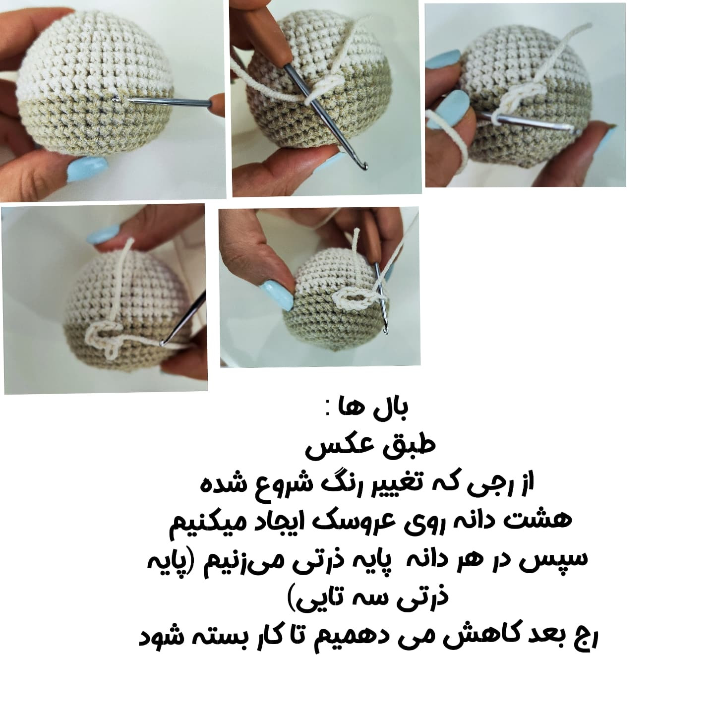 الگوی بافتنی جوجه بامزه