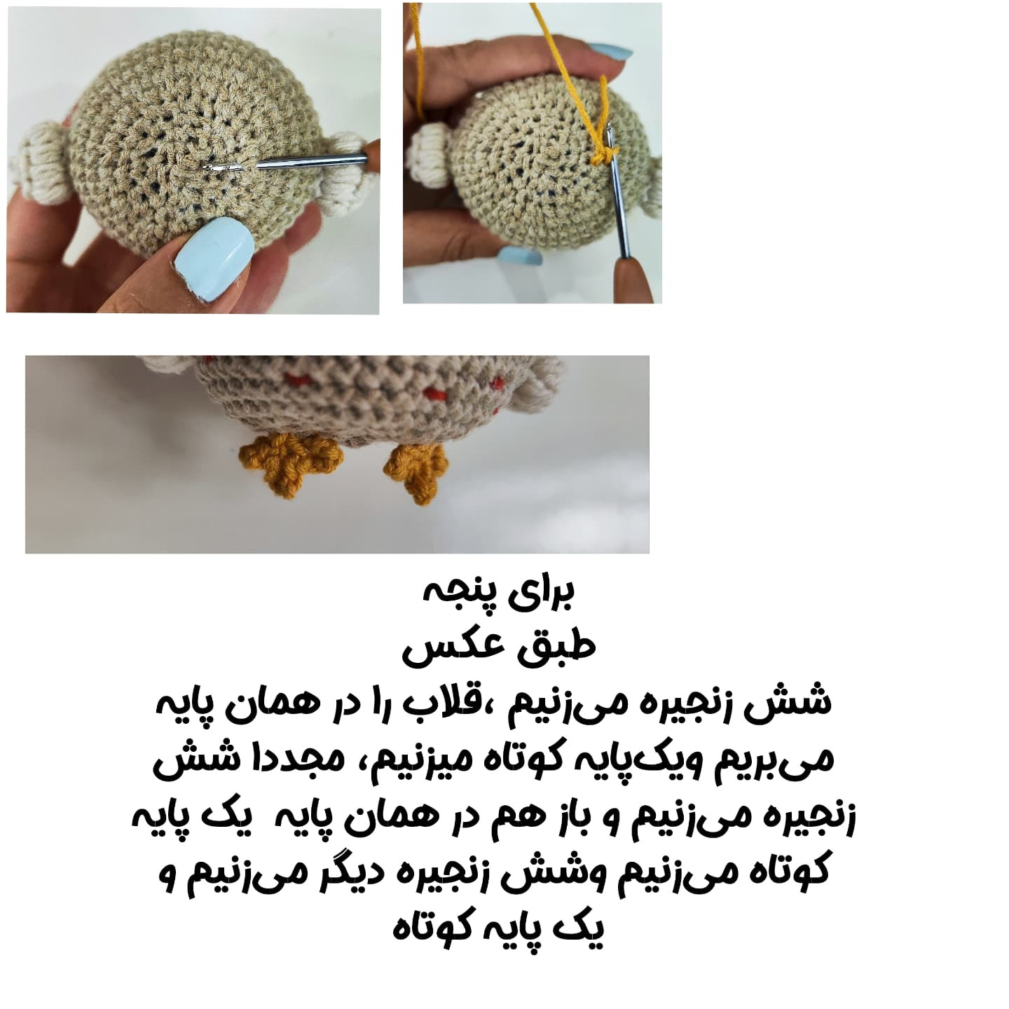 الگوی بافتنی جوجه بامزه