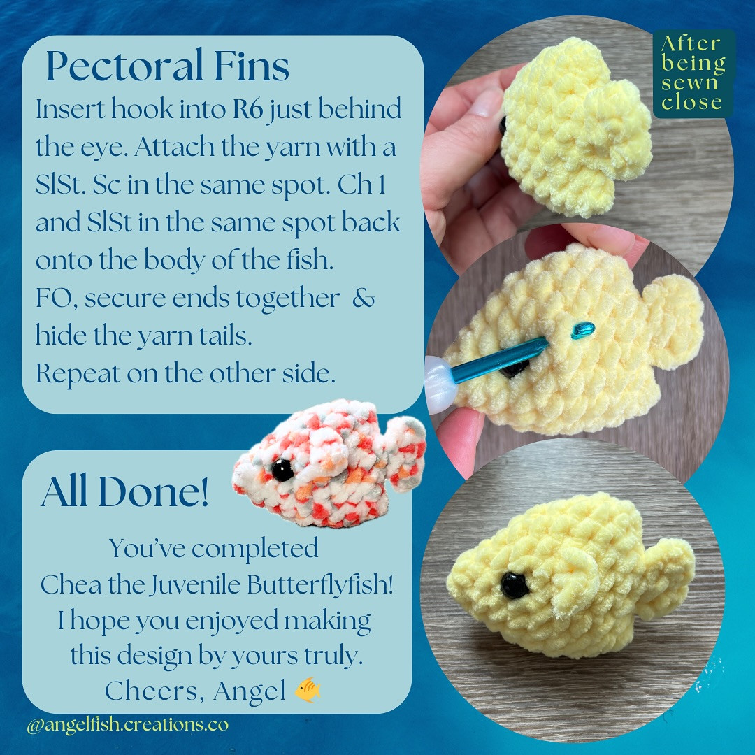 Amigurumi Crochet Butterflyfish Pattern