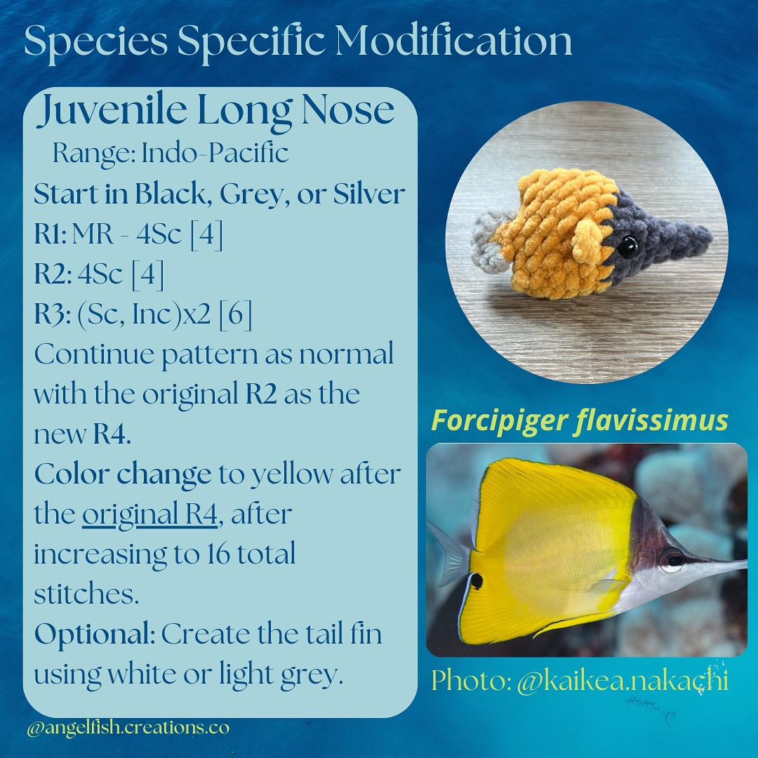 Amigurumi Crochet Butterflyfish Pattern