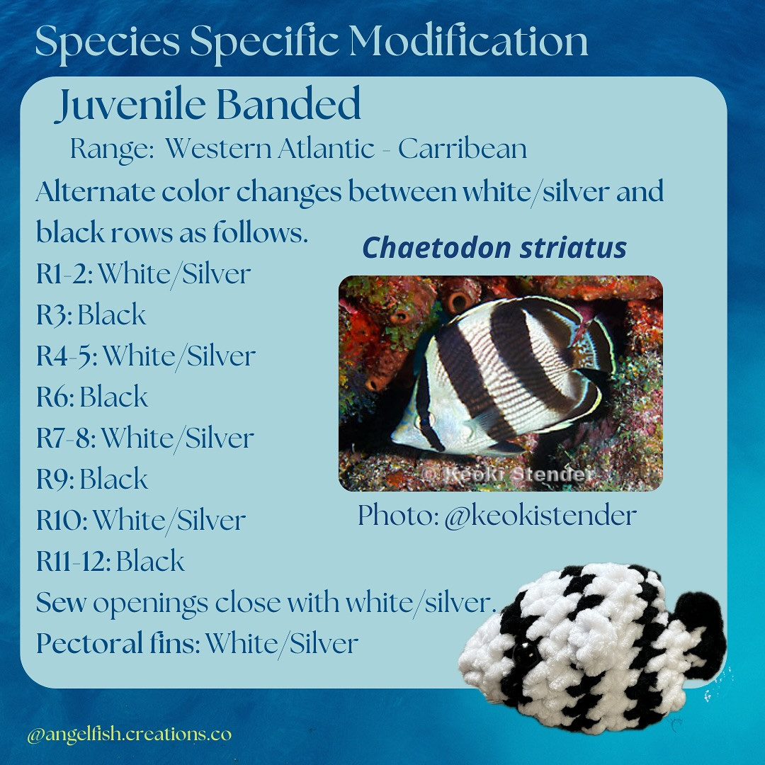 Amigurumi Crochet Butterflyfish Pattern