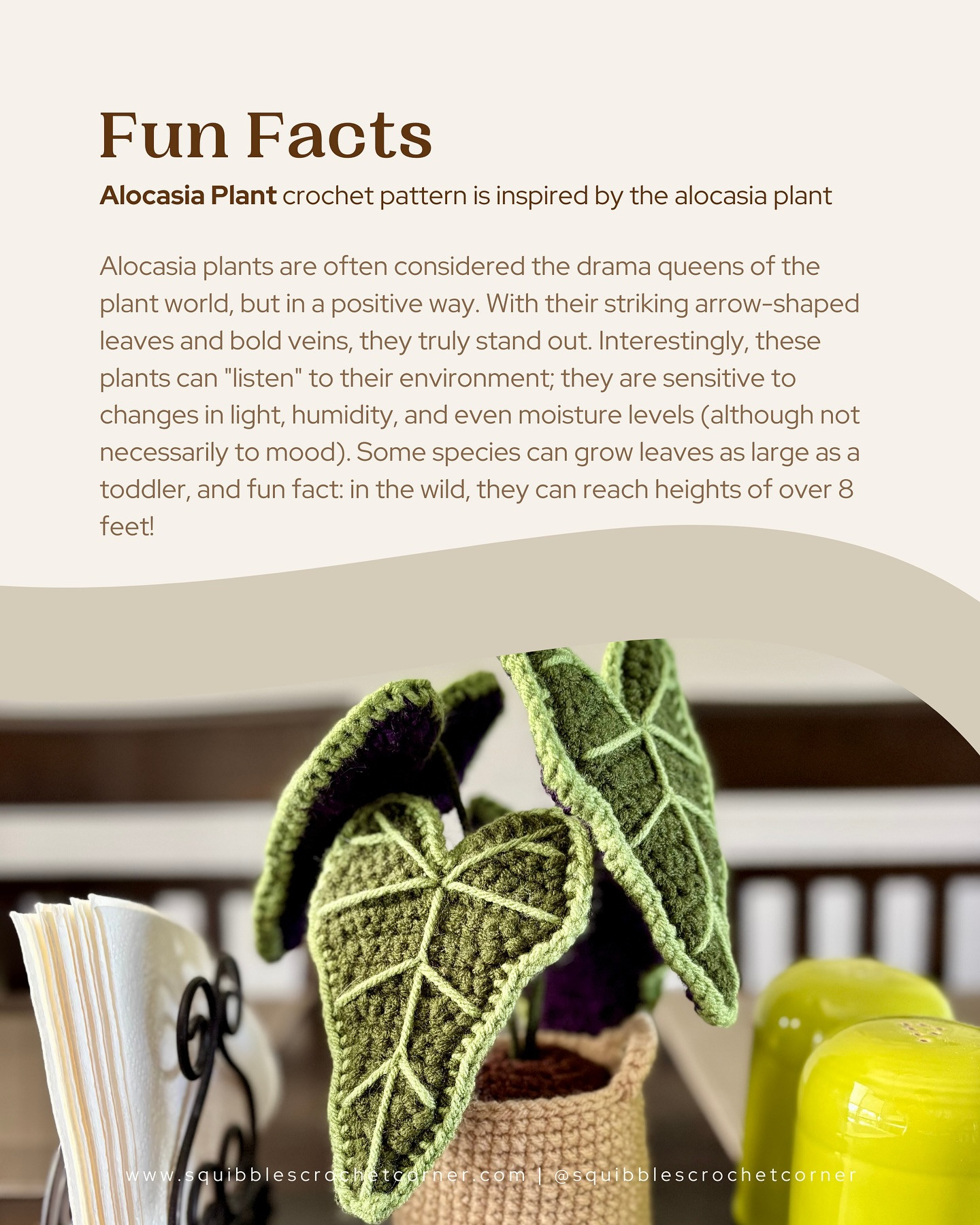 Crochet Alocasia Plant Pattern