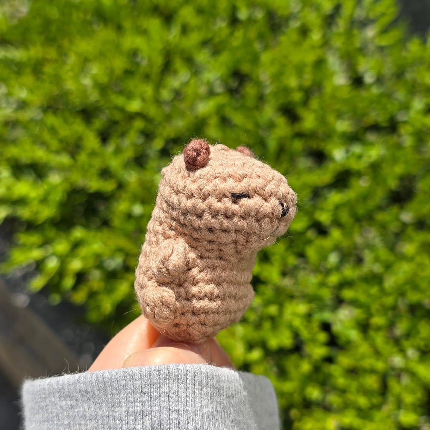 Crochet Capybara Babybara Pattern