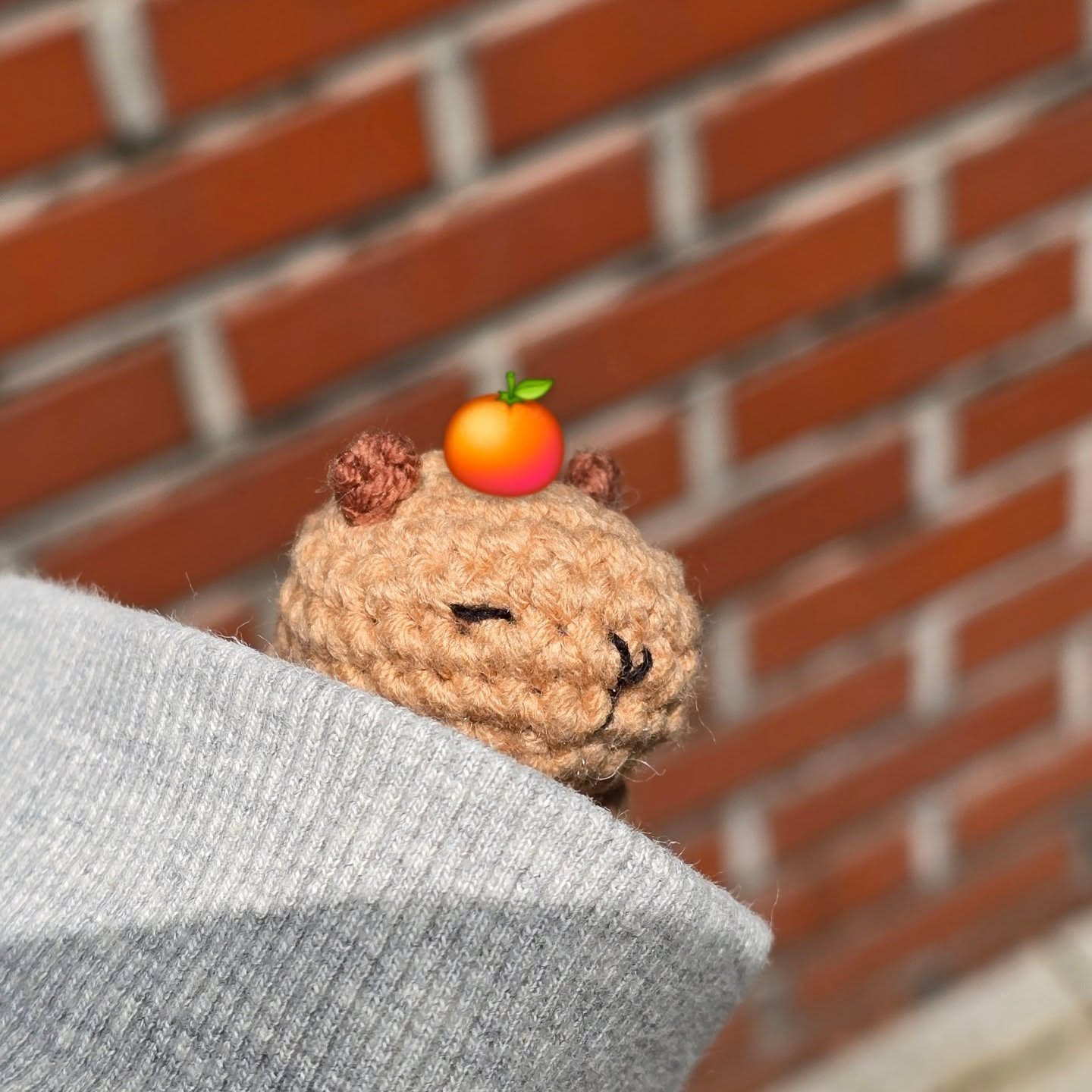 Crochet Capybara Babybara Pattern