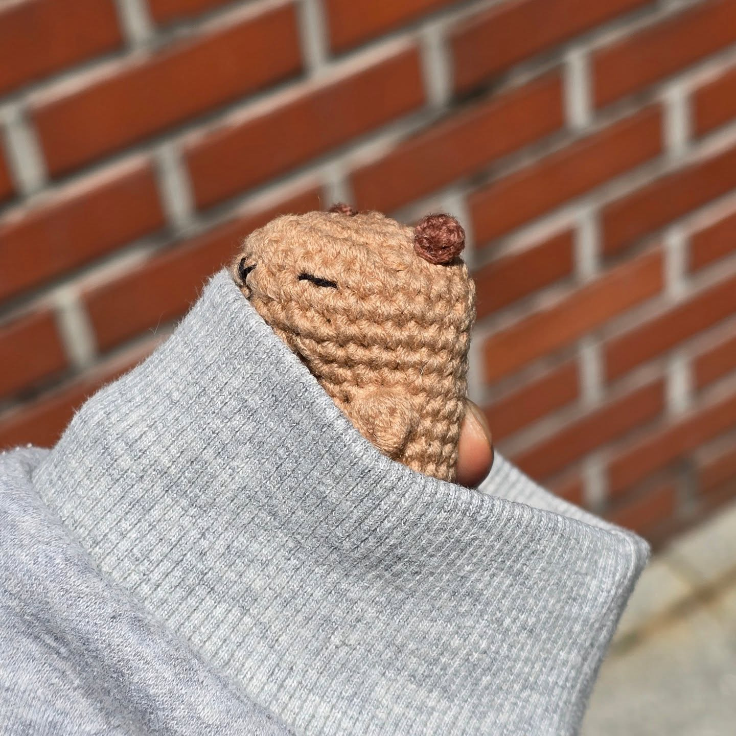 Crochet Capybara Babybara Pattern