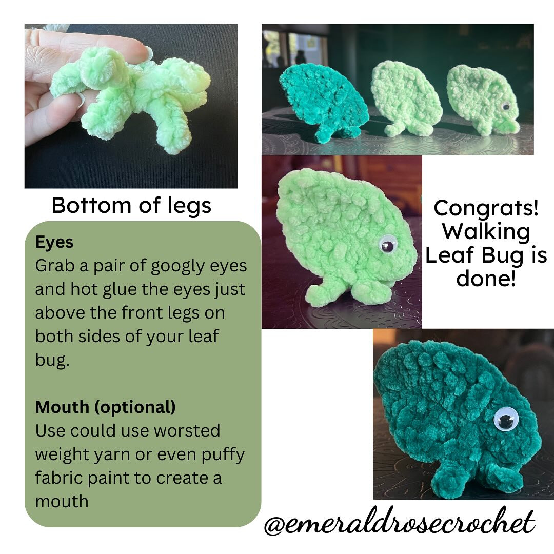 Crochet Pattern: Adorable Walking Leaf Bugs