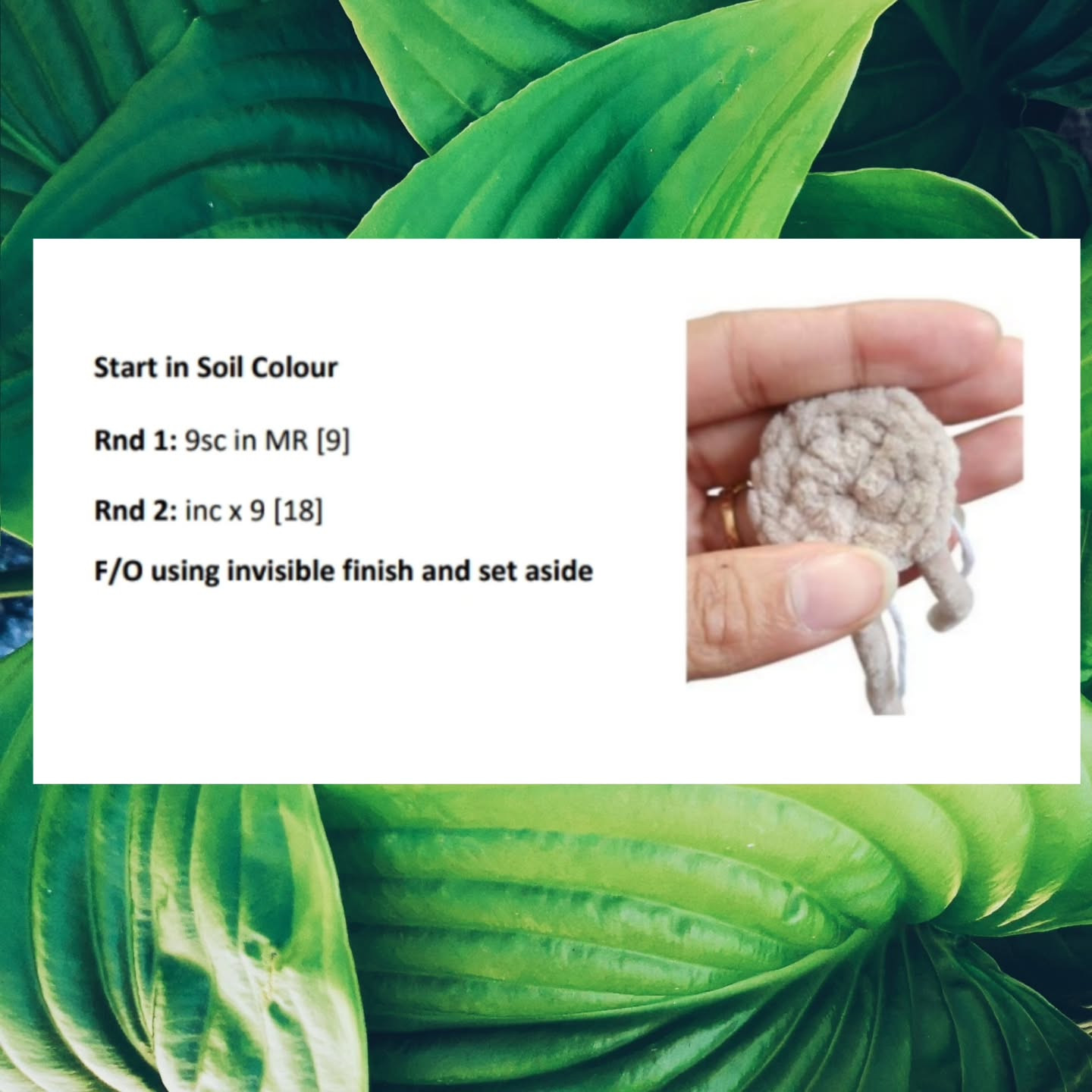 Crochet Pattern: No-Sew Pasithea Plant Pal