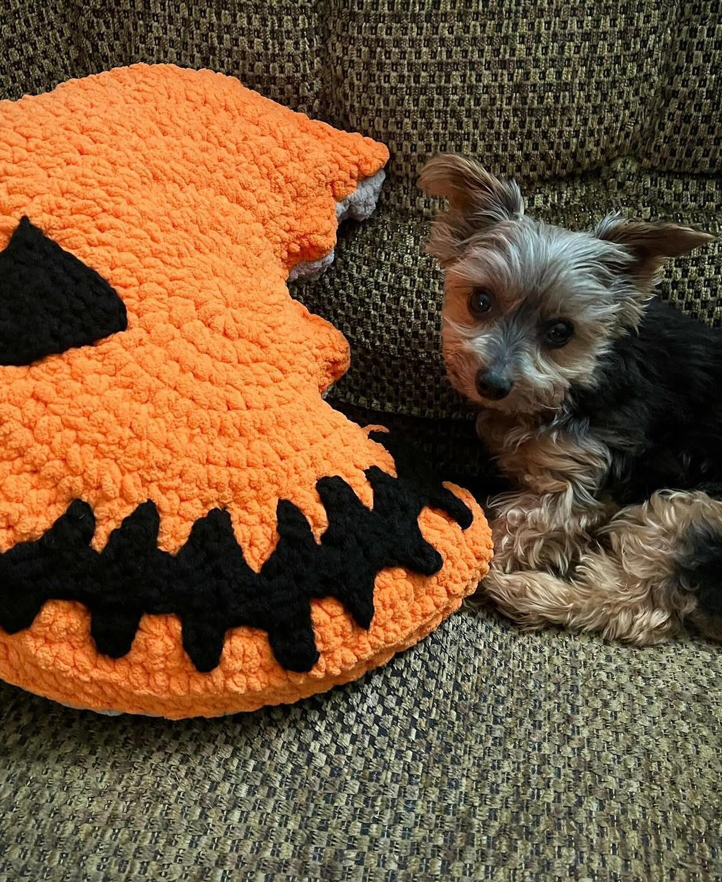 Crochet Pattern: Sammy Pillow Pop Mod