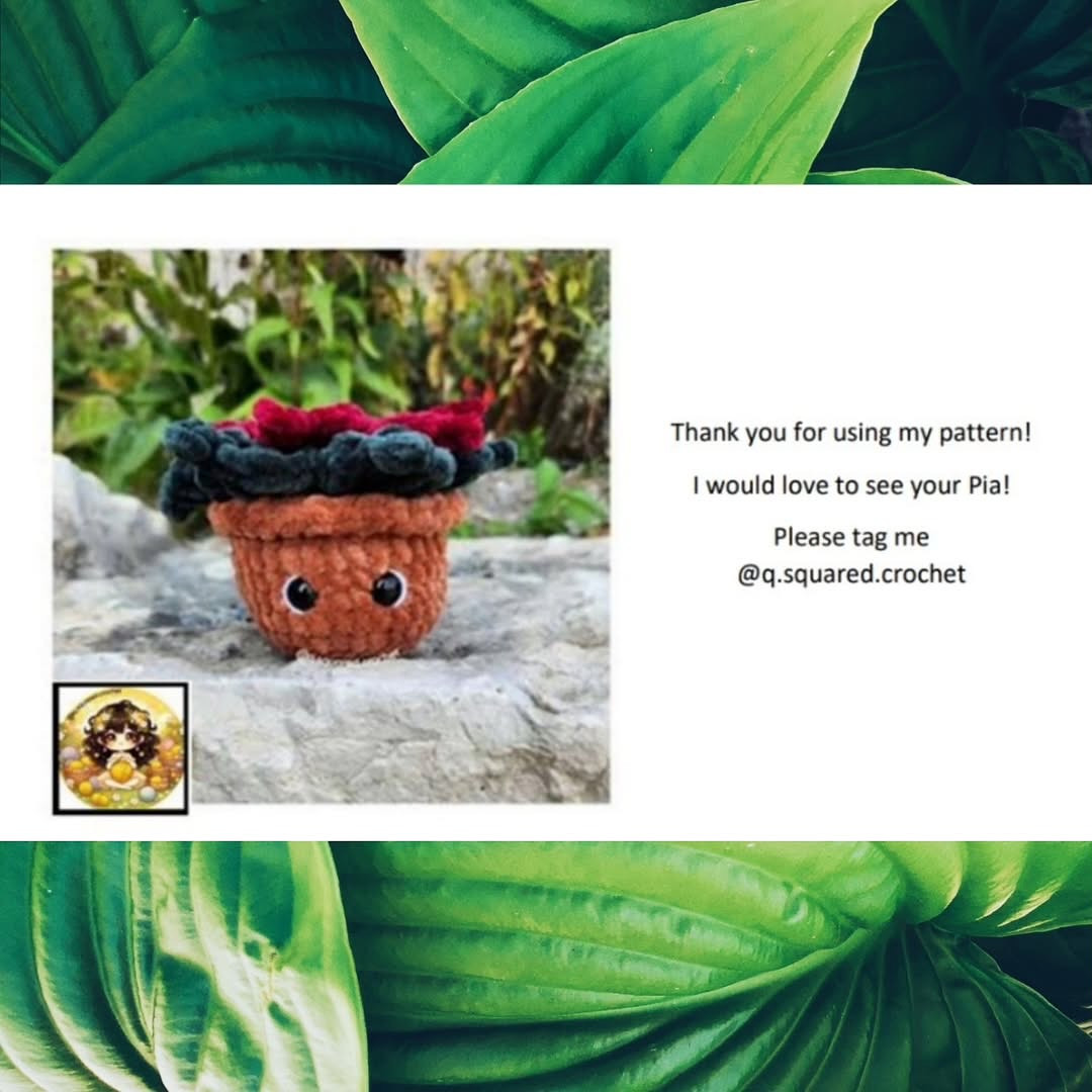 Crochet Poinsettia Plant Pattern: No Sew Pia