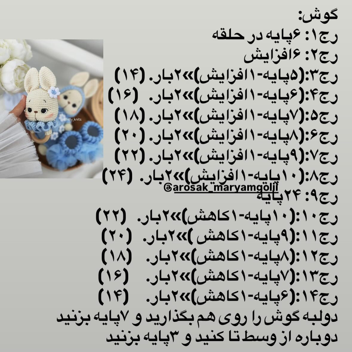 دسته‌اي از نمودار بافت خرگوش