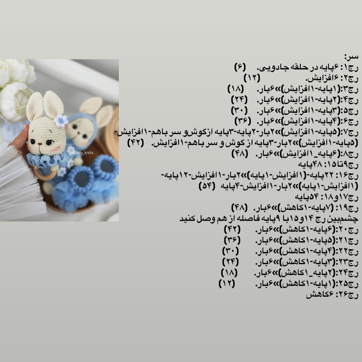 دسته‌اي از نمودار بافت خرگوش