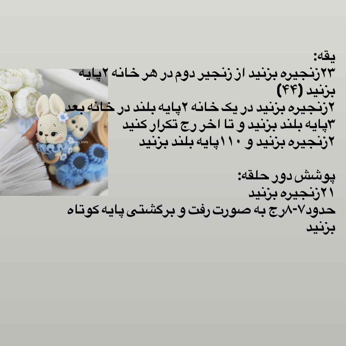 دسته‌اي از نمودار بافت خرگوش