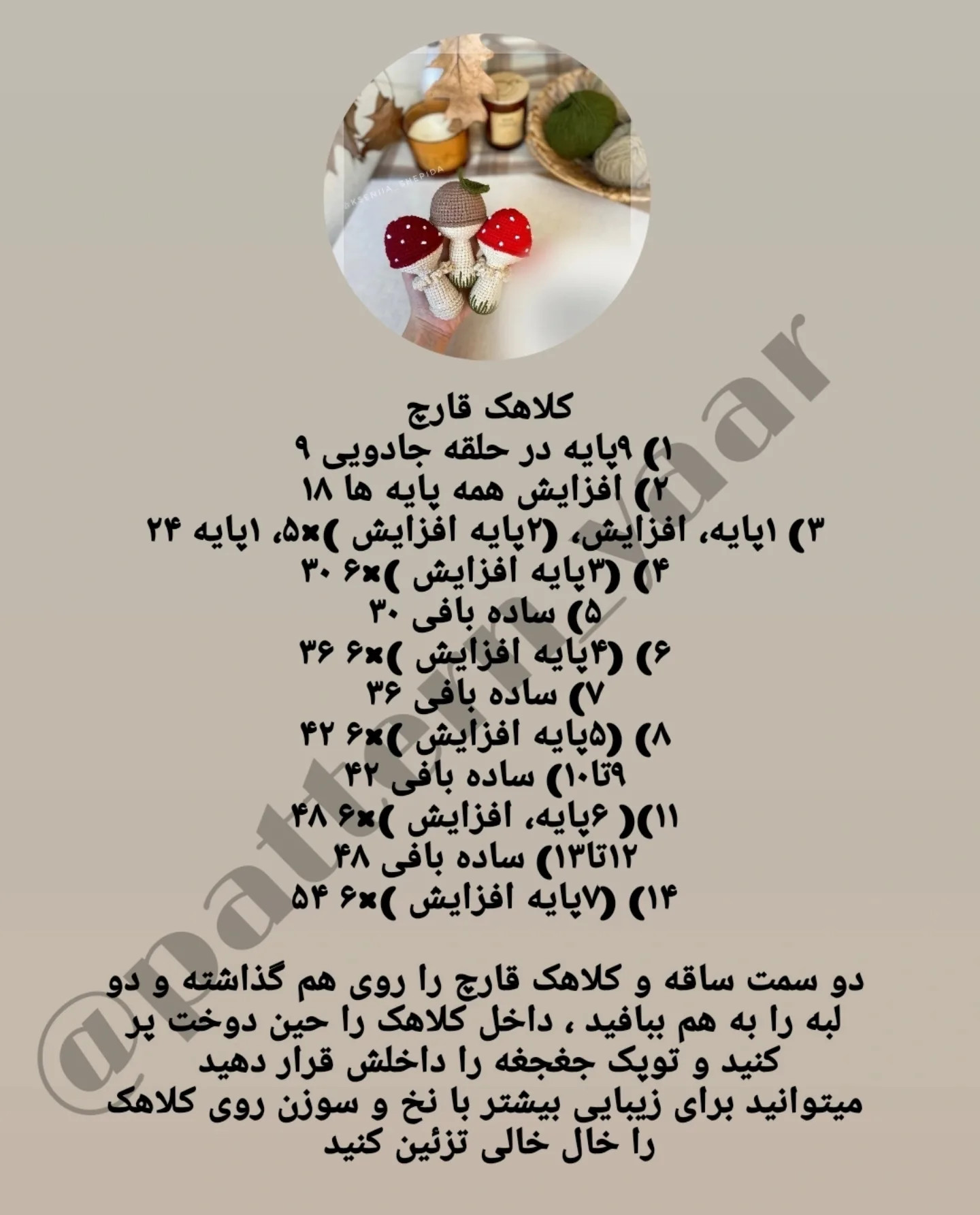 دستور بافت قارچ‌های کوچک