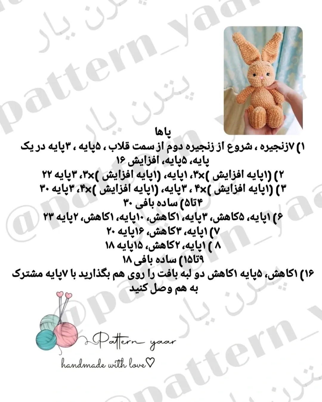 دستور بافت خرگوش