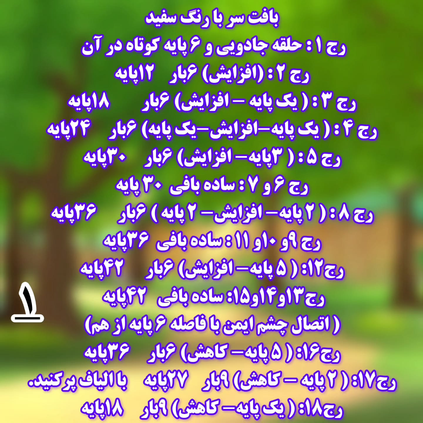 دستور بافت خرگوشک