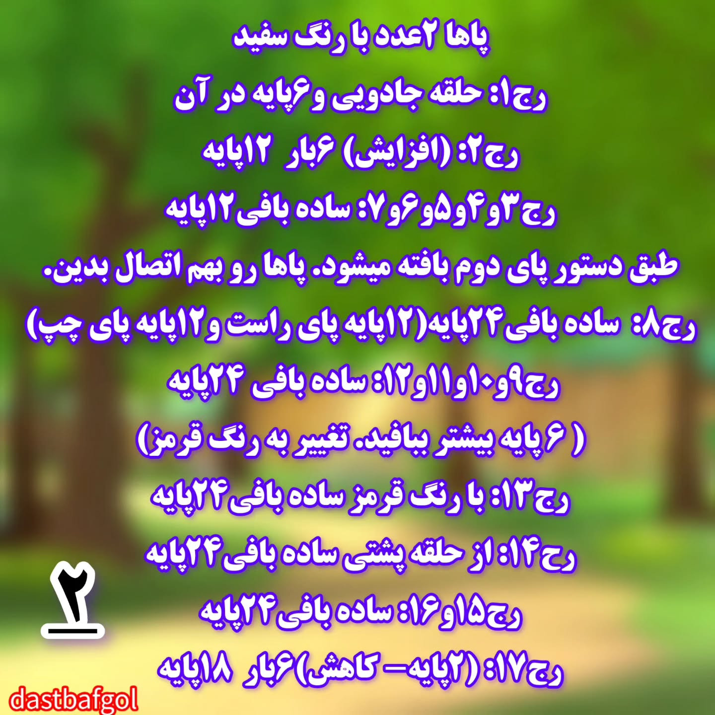 دستور بافت خرگوشک