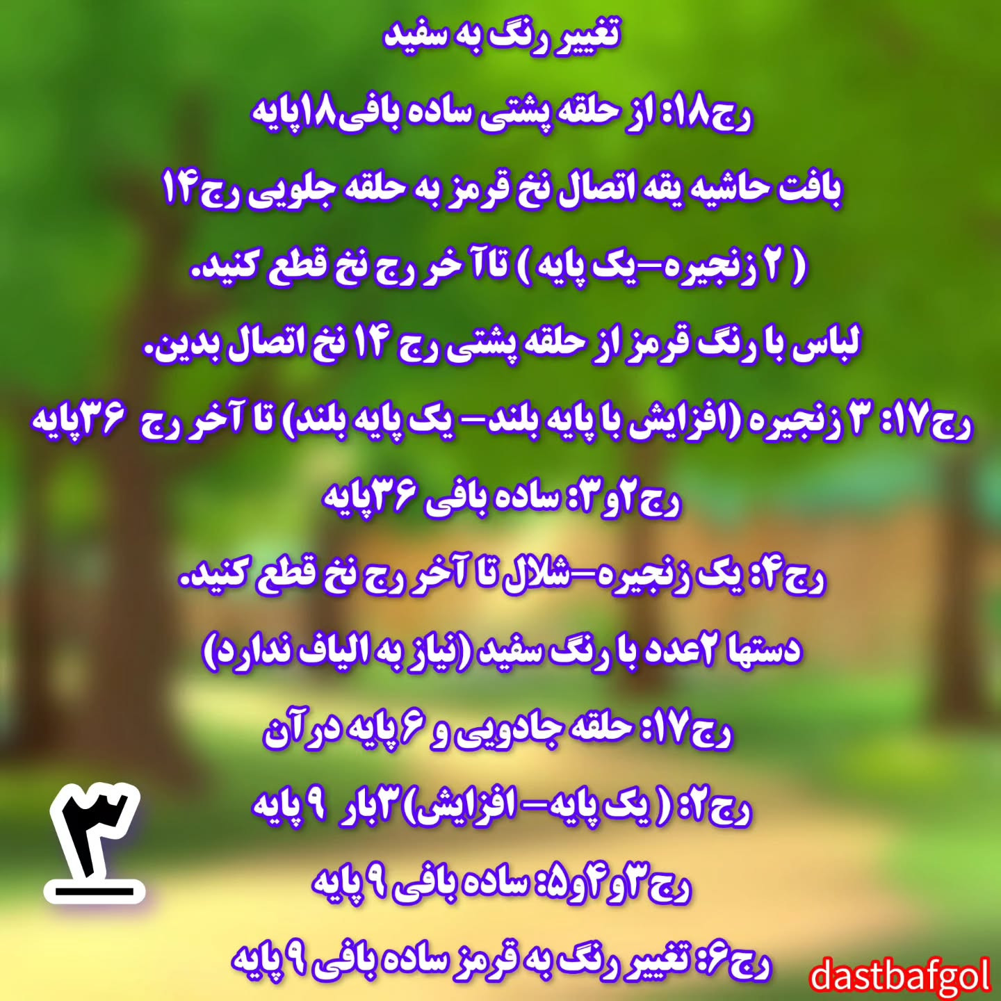 دستور بافت خرگوشک