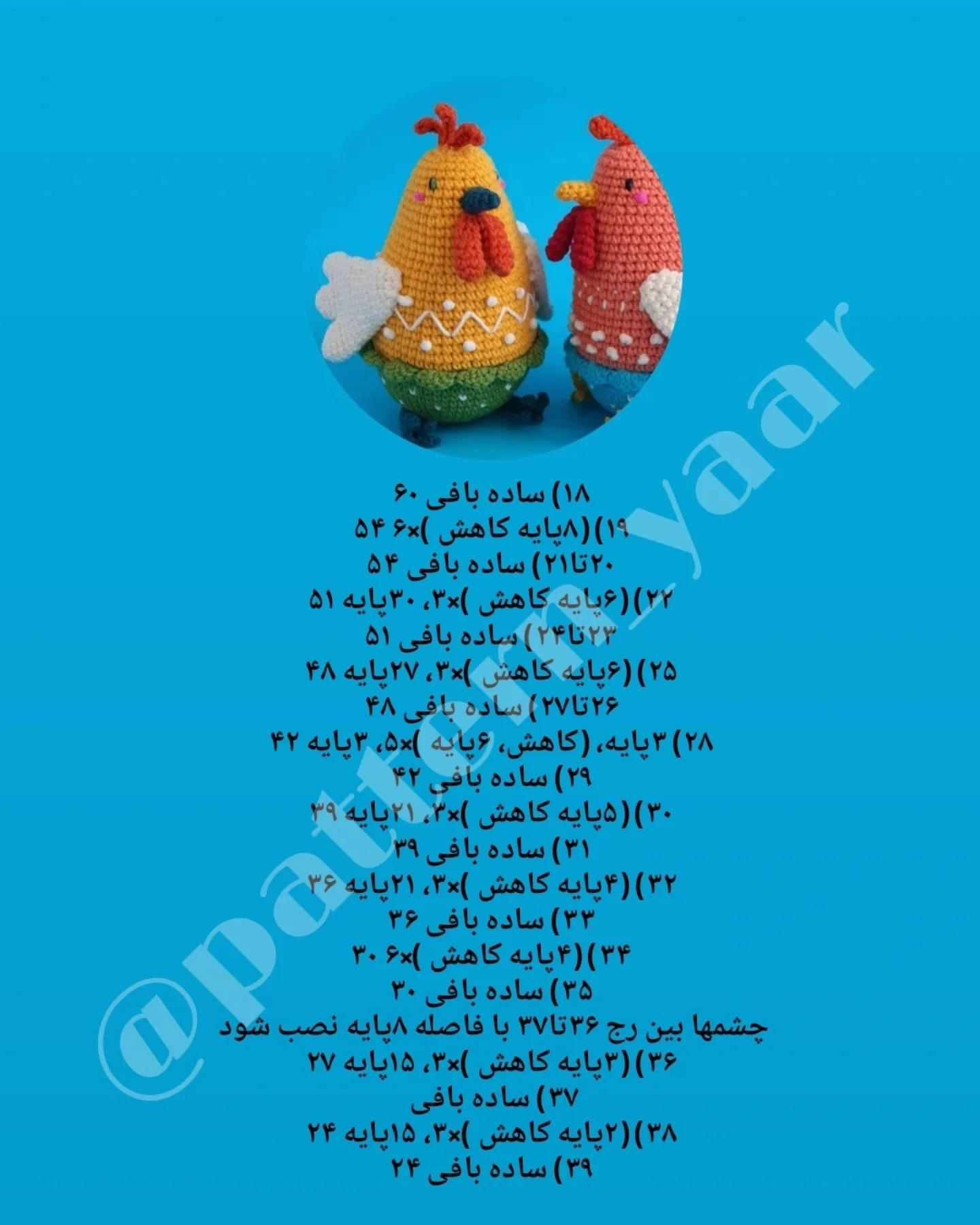 دستور بافت مرغ‌های رنگی