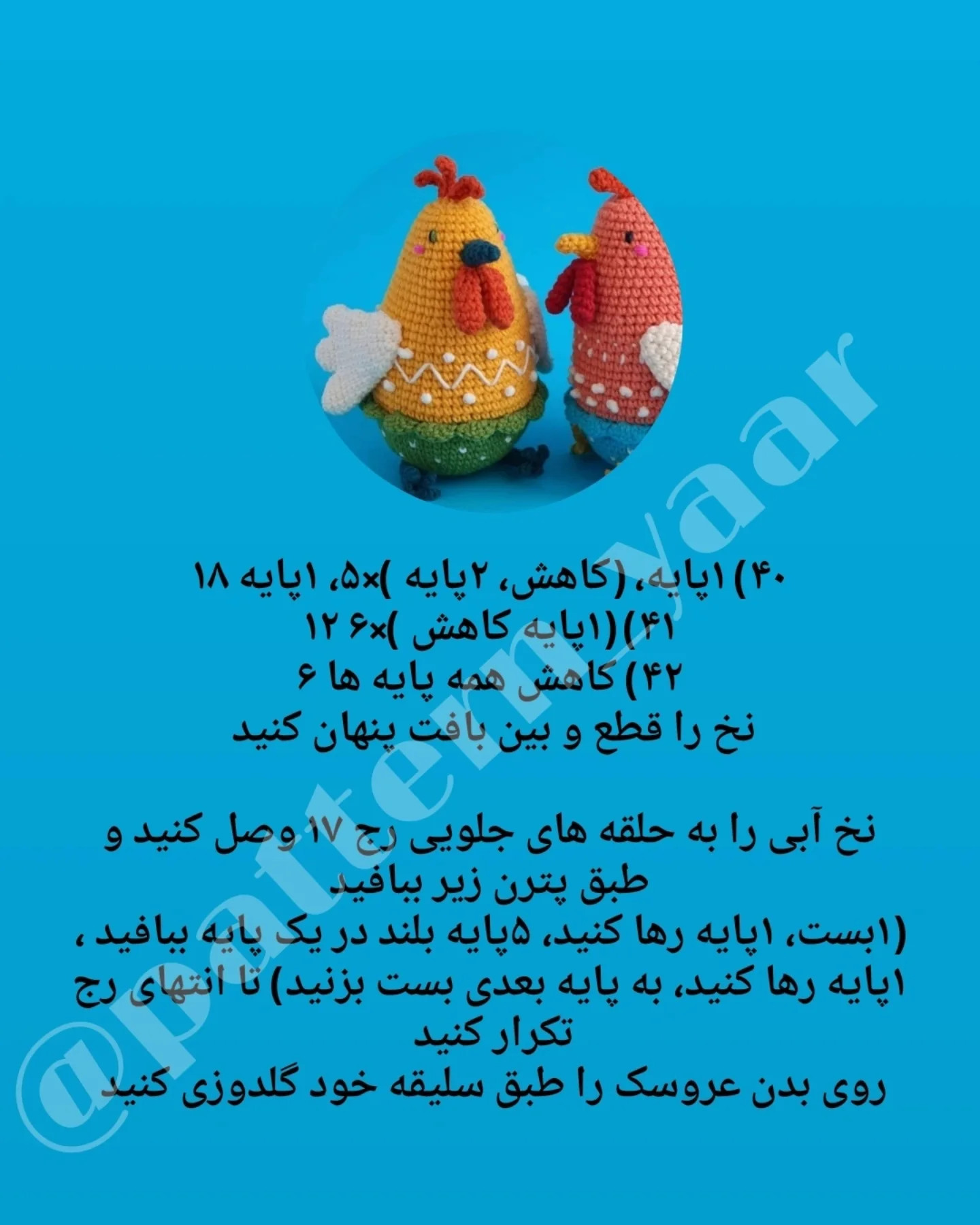 دستور بافت مرغ‌های رنگی
