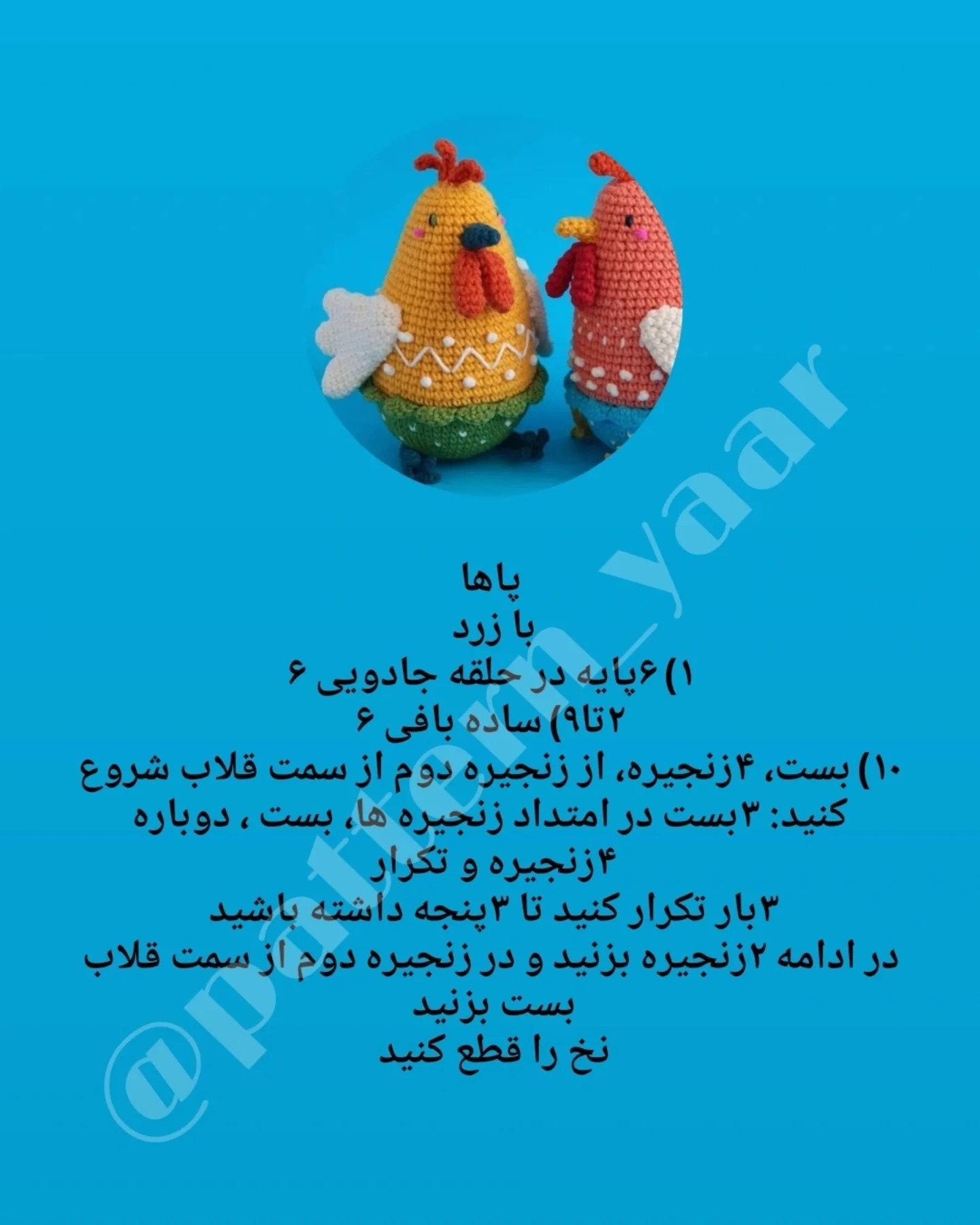دستور بافت مرغ‌های رنگی